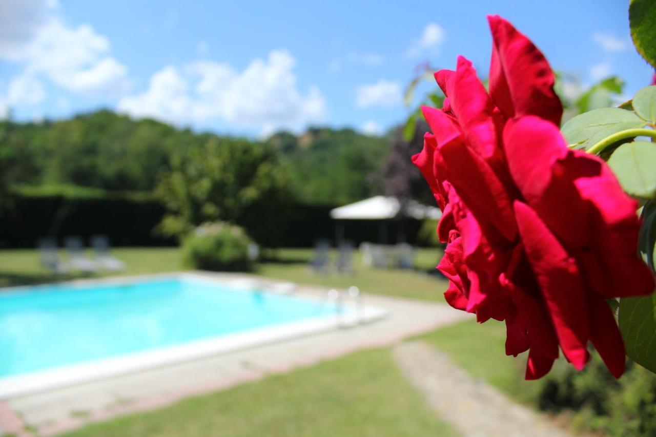 Il Casolare Bed and Breakfast Penna Exteriör bild