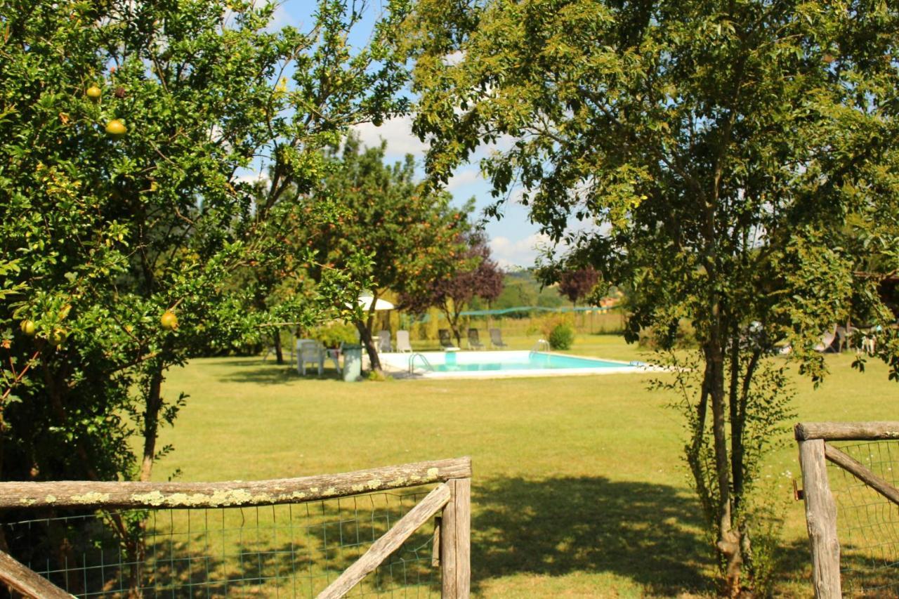Il Casolare Bed and Breakfast Penna Exteriör bild