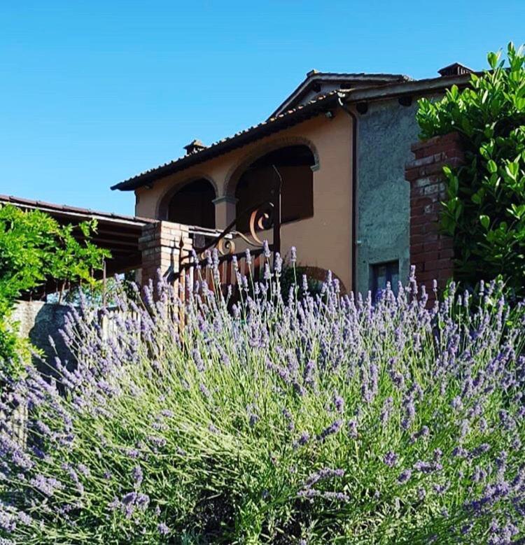 Il Casolare Bed and Breakfast Penna Exteriör bild