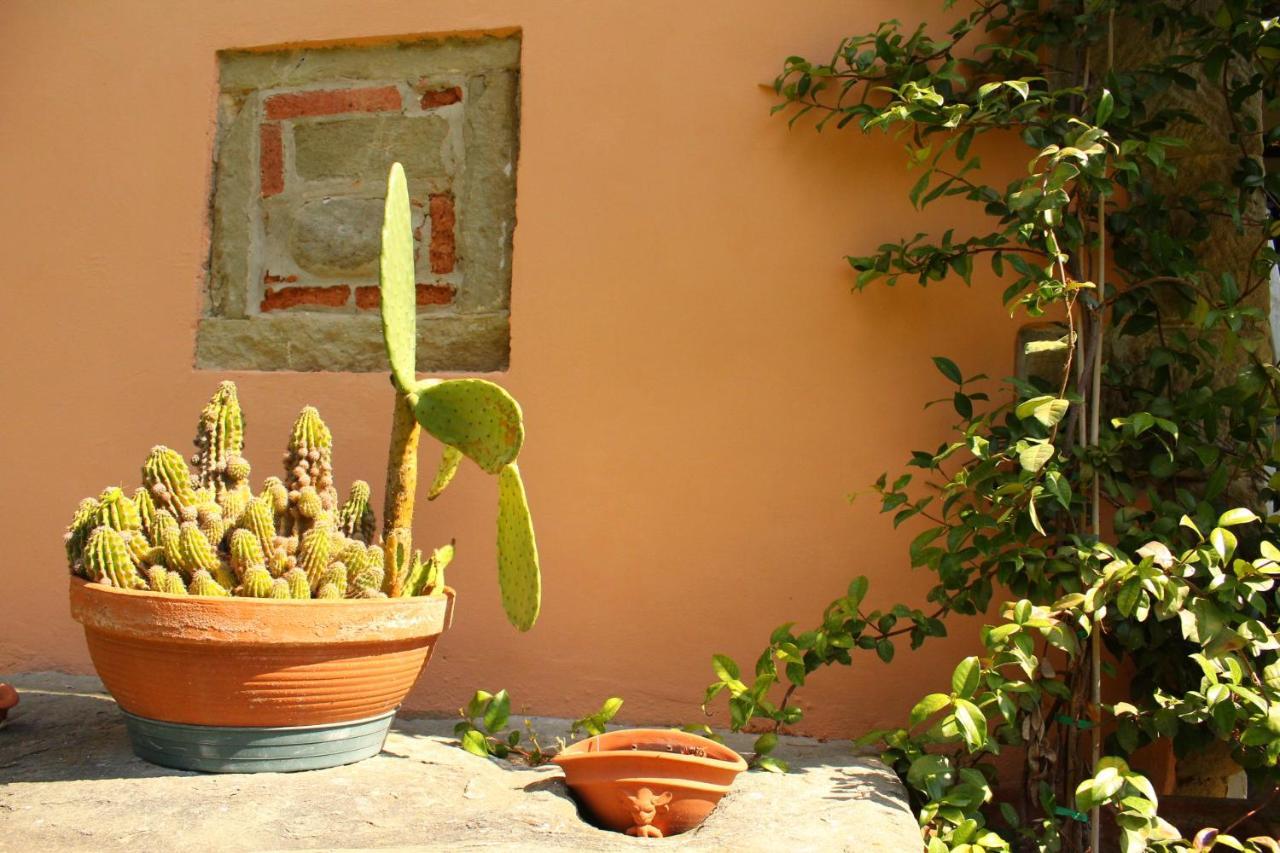 Il Casolare Bed and Breakfast Penna Exteriör bild